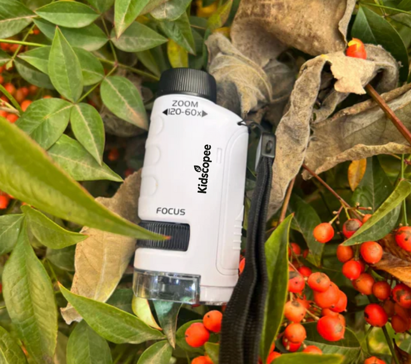 Photo du produit Petiscope